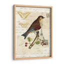 Collage De Naturalistas Ii - Vision Studio | Cuadro decorativo de Canvas Lab