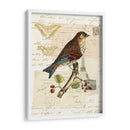 Collage De Naturalistas Ii - Vision Studio | Cuadro decorativo de Canvas Lab