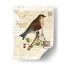 Collage De Naturalistas Ii - Vision Studio | Cuadro decorativo de Canvas Lab