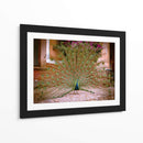 Pavo real - E Ordóñez | Cuadro decorativo de Canvas Lab
