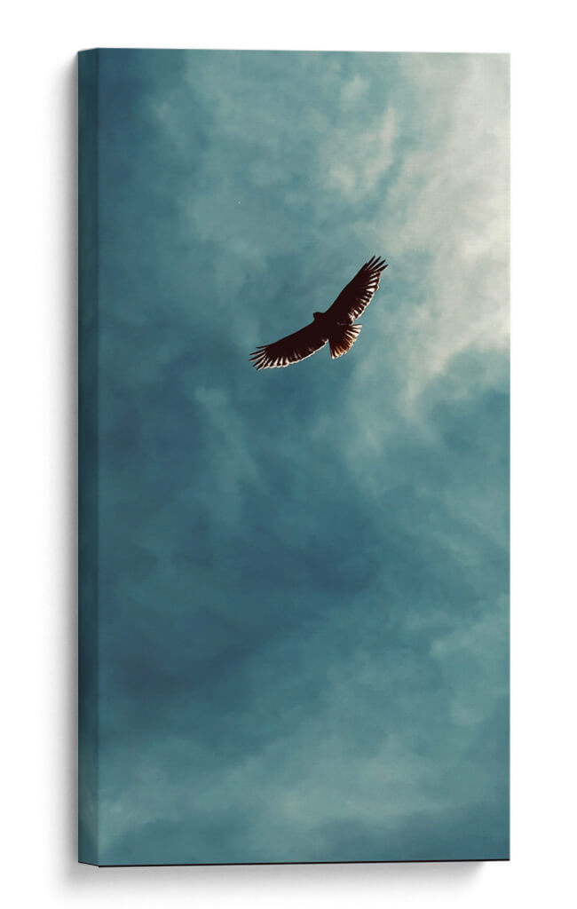 Libertad - E Ordóñez | Cuadro decorativo de Canvas Lab