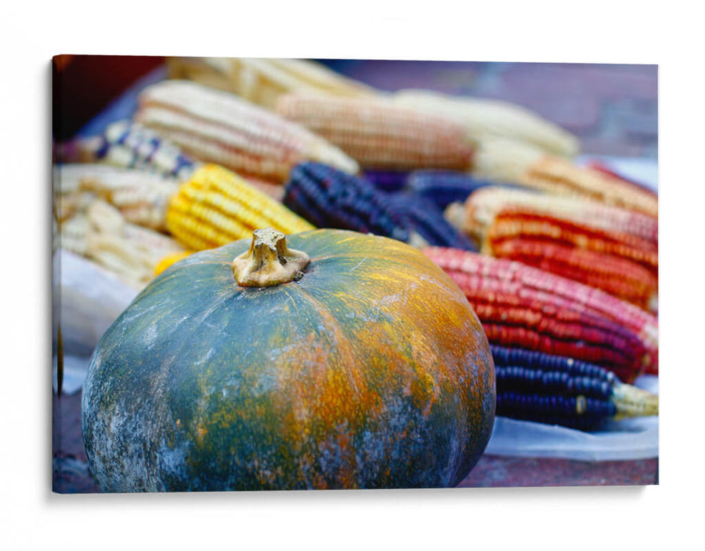 Raíces gastronómicas  - E Ordóñez | Cuadro decorativo de Canvas Lab