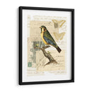 Collage Naturalistas Iii - Vision Studio | Cuadro decorativo de Canvas Lab