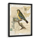 Collage Naturalistas Iii - Vision Studio | Cuadro decorativo de Canvas Lab