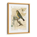 Collage Naturalistas Iii - Vision Studio | Cuadro decorativo de Canvas Lab