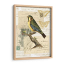 Collage Naturalistas Iii - Vision Studio | Cuadro decorativo de Canvas Lab