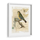 Collage Naturalistas Iii - Vision Studio | Cuadro decorativo de Canvas Lab