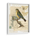 Collage Naturalistas Iii - Vision Studio | Cuadro decorativo de Canvas Lab