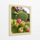Tunas Verdes  - M Gutierrez | Cuadro decorativo de Canvas Lab