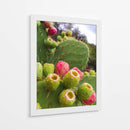 Tunas Verdes  - M Gutierrez | Cuadro decorativo de Canvas Lab
