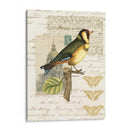 Naturalistas Collage Iv - Vision Studio | Cuadro decorativo de Canvas Lab