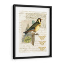 Naturalistas Collage Iv - Vision Studio | Cuadro decorativo de Canvas Lab