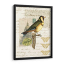 Naturalistas Collage Iv - Vision Studio | Cuadro decorativo de Canvas Lab