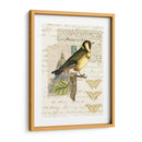 Naturalistas Collage Iv - Vision Studio | Cuadro decorativo de Canvas Lab