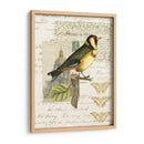 Naturalistas Collage Iv - Vision Studio | Cuadro decorativo de Canvas Lab