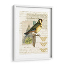 Naturalistas Collage Iv - Vision Studio | Cuadro decorativo de Canvas Lab