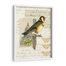 Naturalistas Collage Iv - Vision Studio | Cuadro decorativo de Canvas Lab