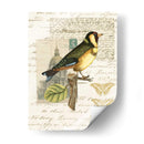 Naturalistas Collage Iv - Vision Studio | Cuadro decorativo de Canvas Lab