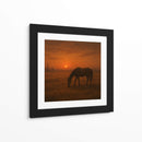 El Último Atardecer - Insane Art | Cuadro decorativo de Canvas Lab