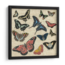 Mariposas Y Lino I - Vision Studio | Cuadro decorativo de Canvas Lab