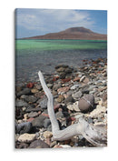 Hermosa vista de la isla Coronado en Loreto BCS - Luis Rodrigo Magaña Andrade | Cuadro decorativo de Canvas Lab