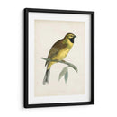 Morris Cirl Bunting - Morris | Cuadro decorativo de Canvas Lab