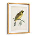 Morris Cirl Bunting - Morris | Cuadro decorativo de Canvas Lab