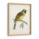 Morris Cirl Bunting - Morris | Cuadro decorativo de Canvas Lab
