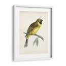 Morris Cirl Bunting - Morris | Cuadro decorativo de Canvas Lab
