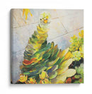 Portulaca Molokiniensis 01 - Hugo Bello | Cuadro decorativo de Canvas Lab