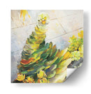 Portulaca Molokiniensis 01 - Hugo Bello | Cuadro decorativo de Canvas Lab