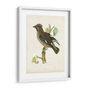 Morris Waxwing - Morris | Cuadro decorativo de Canvas Lab