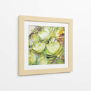 Aeonium_Giant Velvet Rose 01 - Hugo Bello | Cuadro decorativo de Canvas Lab