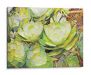 Aeonium_Giant Velvet Rose 01 Rectangular - Hugo Bello | Cuadro decorativo de Canvas Lab