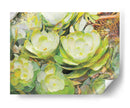 Aeonium_Giant Velvet Rose 01 Rectangular - Hugo Bello | Cuadro decorativo de Canvas Lab