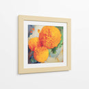 Mexican Marigolds_Cempasúchil 01 - Hugo Bello | Cuadro decorativo de Canvas Lab