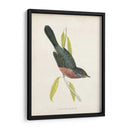 Morris Dartford Warbler - Morris | Cuadro decorativo de Canvas Lab