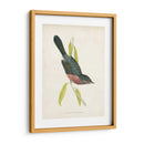 Morris Dartford Warbler - Morris | Cuadro decorativo de Canvas Lab