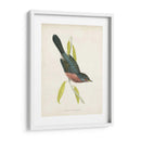 Morris Dartford Warbler - Morris | Cuadro decorativo de Canvas Lab