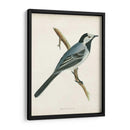 Morris Wagtail White - Morris | Cuadro decorativo de Canvas Lab