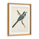 Morris Wagtail White - Morris | Cuadro decorativo de Canvas Lab