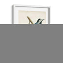 Morris Wagtail White - Morris | Cuadro decorativo de Canvas Lab