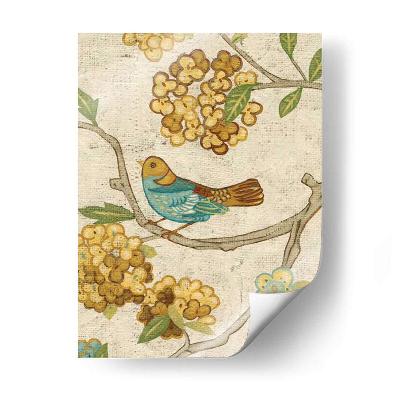 Aviario Antiguo Ii - Chariklia Zarris | Cuadro decorativo de Canvas Lab