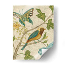 Aviario Antiguo Iii - Chariklia Zarris | Cuadro decorativo de Canvas Lab