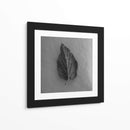 Hoja en blanco - M Gutierrez | Cuadro decorativo de Canvas Lab