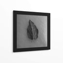 Hoja en blanco - M Gutierrez | Cuadro decorativo de Canvas Lab
