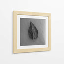 Hoja en blanco - M Gutierrez | Cuadro decorativo de Canvas Lab
