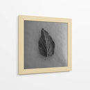 Hoja en blanco - M Gutierrez | Cuadro decorativo de Canvas Lab