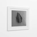 Hoja en blanco - M Gutierrez | Cuadro decorativo de Canvas Lab