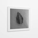 Hoja en blanco - M Gutierrez | Cuadro decorativo de Canvas Lab